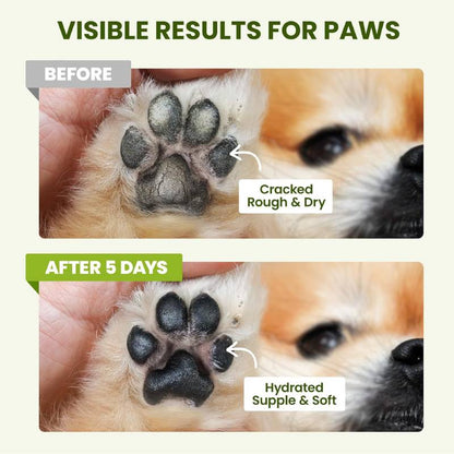 Coconut Pet Paw Balm – 60 g