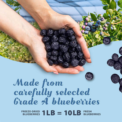 Premium Unsweetened Dried Wild Blueberries – 250g Bag