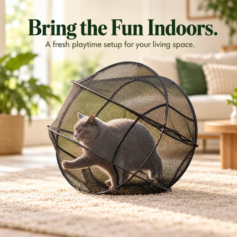 Portable Pet Playpen for Supervised Indoor Play