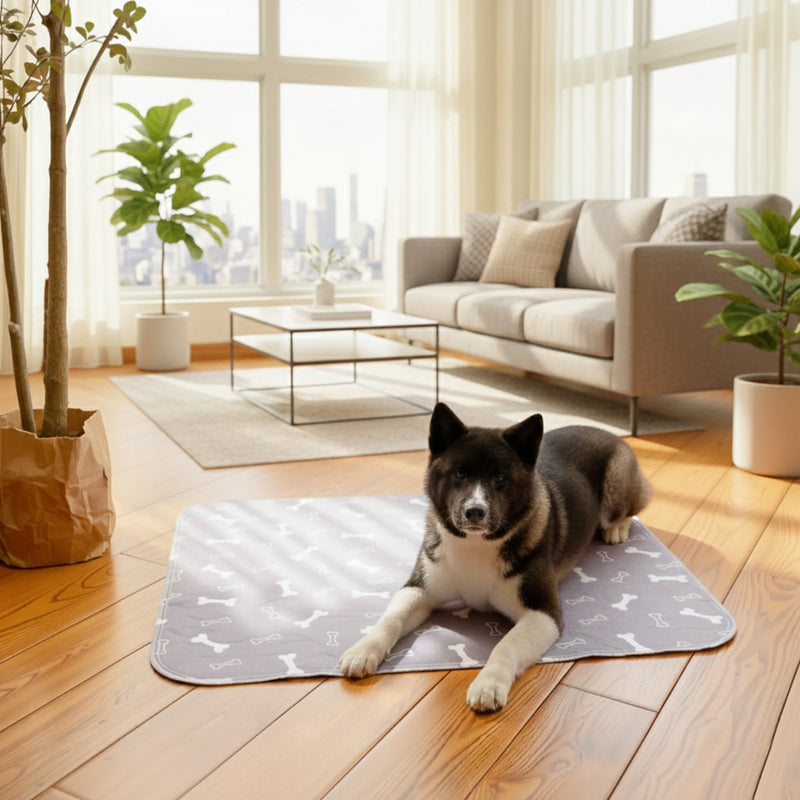Large Washable Dog Pee Pad for Indoor Training and Floor Protection