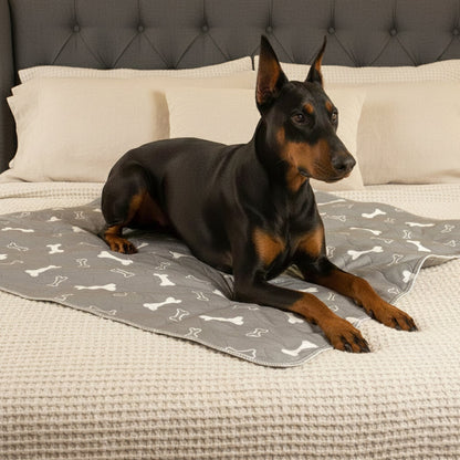 Large Washable Dog Pee Pad for Indoor Training and Floor Protection
