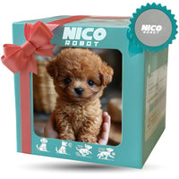 First-Generation Brown Bow Puppy