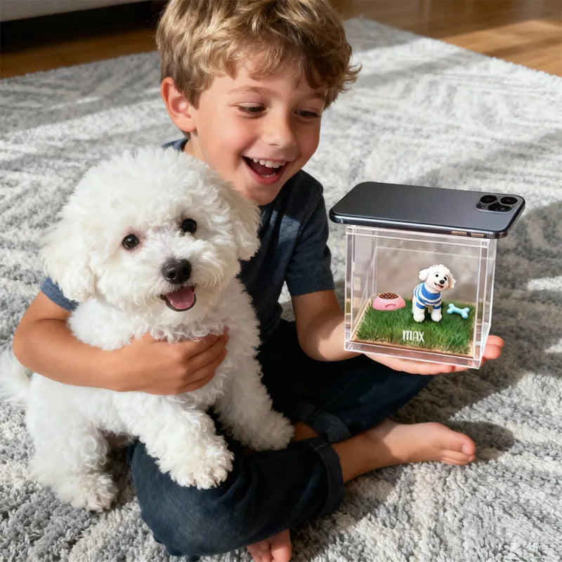 Cartoon DIY Pet Holographic House For Dogs/Cats