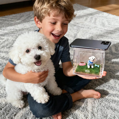 Cartoon DIY Pet Holographic House For Dogs/Cats