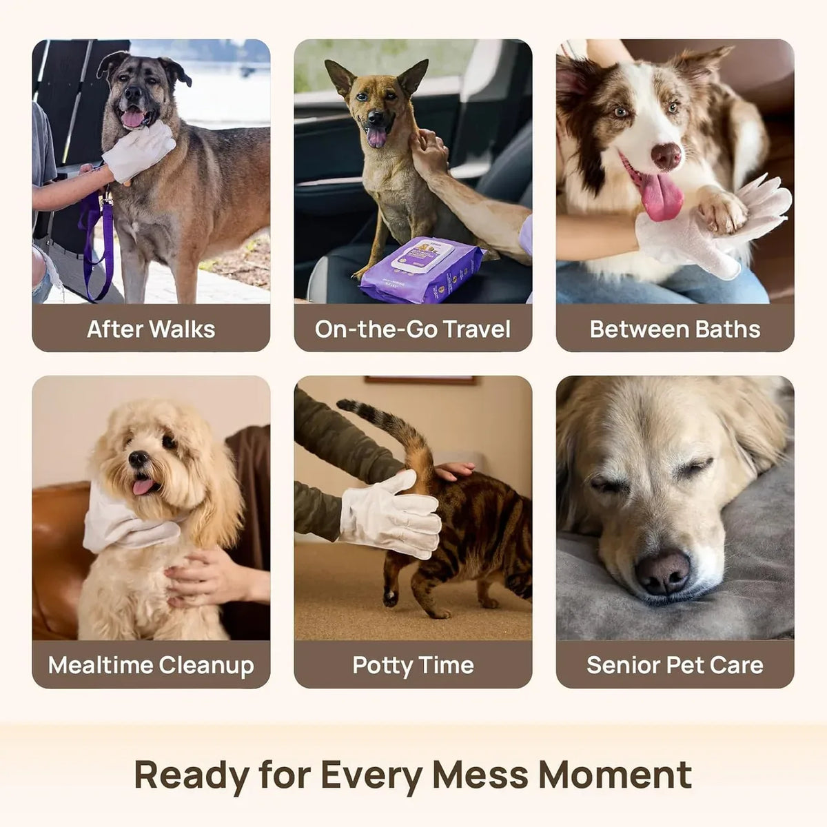No-Rinse Pet Grooming Glove Wipes for Between-Bath Cleanup — view 5
